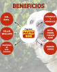 Master Dog Alimento- Adulto - Sabor Carne - 19,5 Kg - Miniatura 4