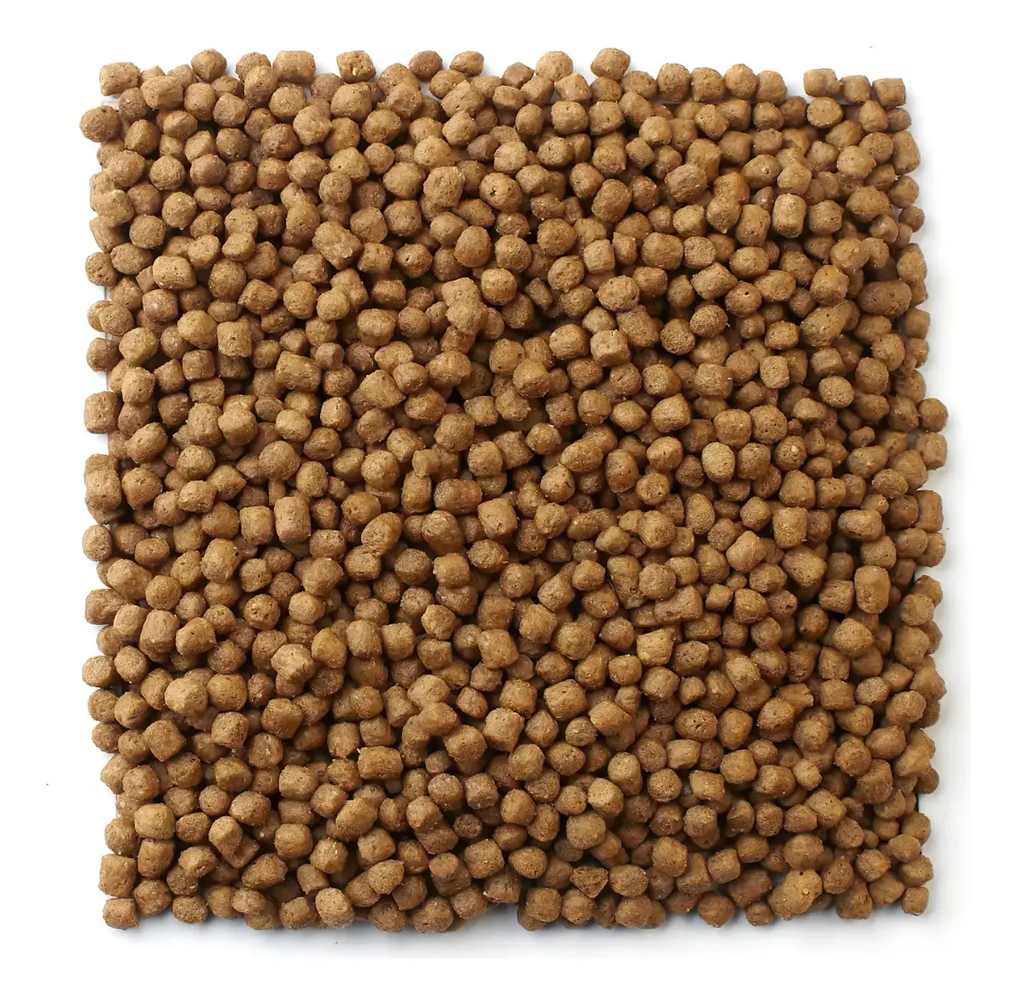 Mazuri Alimento Tortuga Acuática - 340 Gr 2