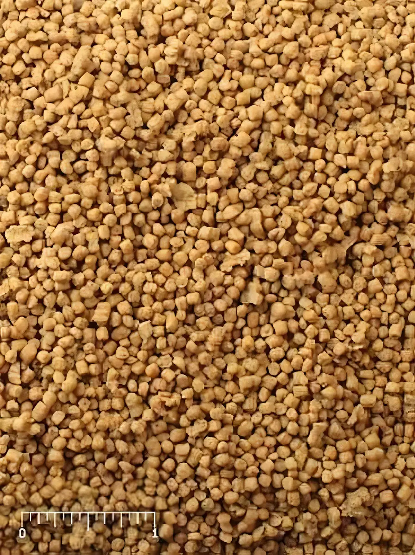 Mazuri Alimento Mini Bird-pellet Pequeñas Aves-900 Gr 2