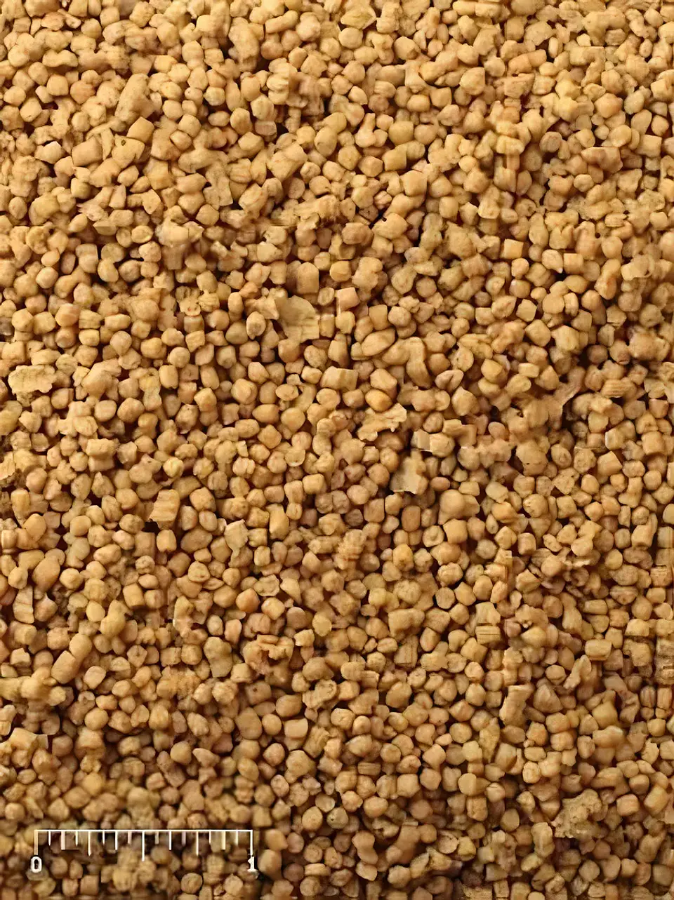 Mazuri Alimento Mini Bird-pellet Pequeñas Aves-900 Gr 2