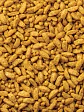 Mazuri Alimento Pequeñas Aves-1.13 Kg - Miniatura 2