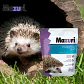 Mazuri Alimento Erizo - Comida Completa - 1,5 Kg - Miniatura 2