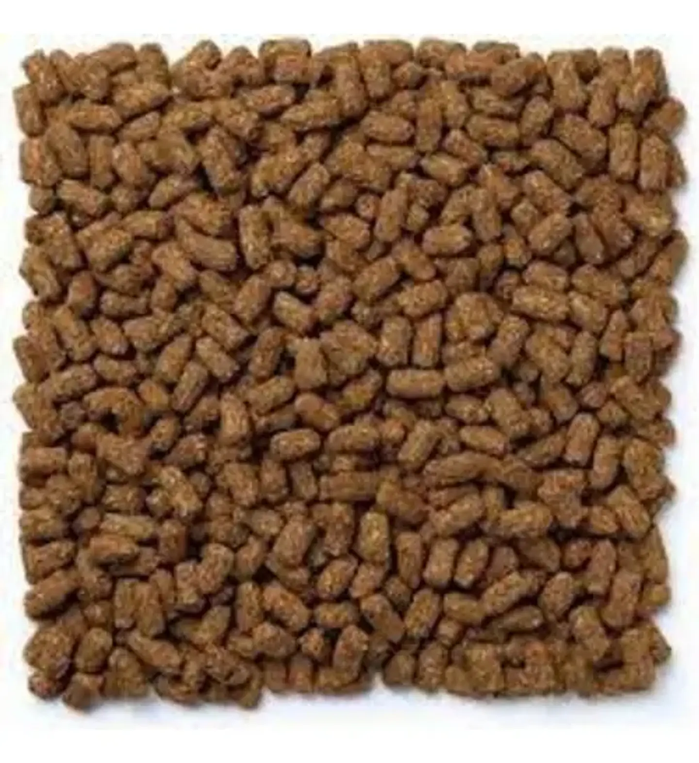 Mazuri Alimento Tortoise Ls Para Tortugas De Tierra 340gr 3
