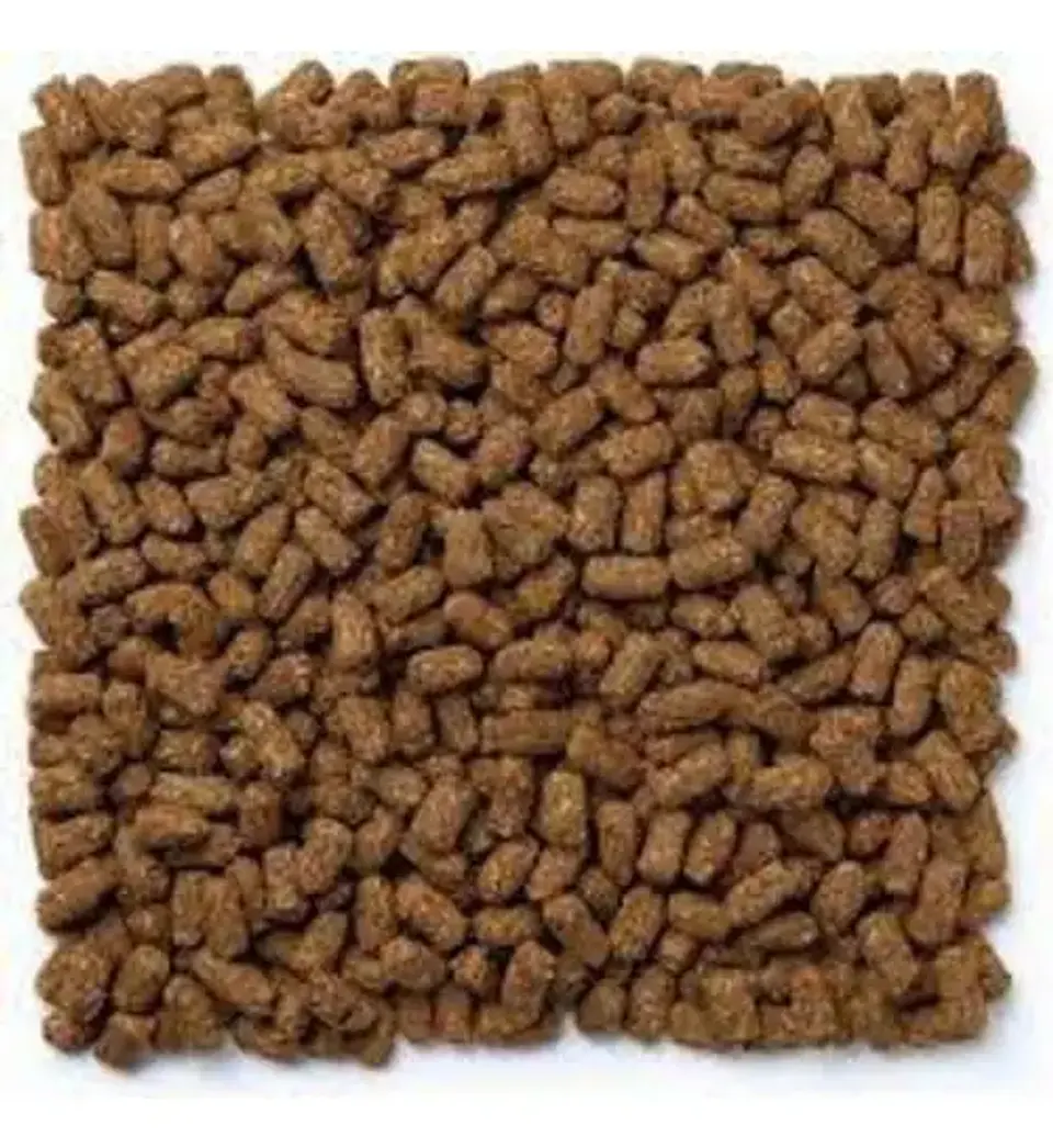 Mazuri Alimento Tortoise Ls Para Tortugas De Tierra 340gr 3