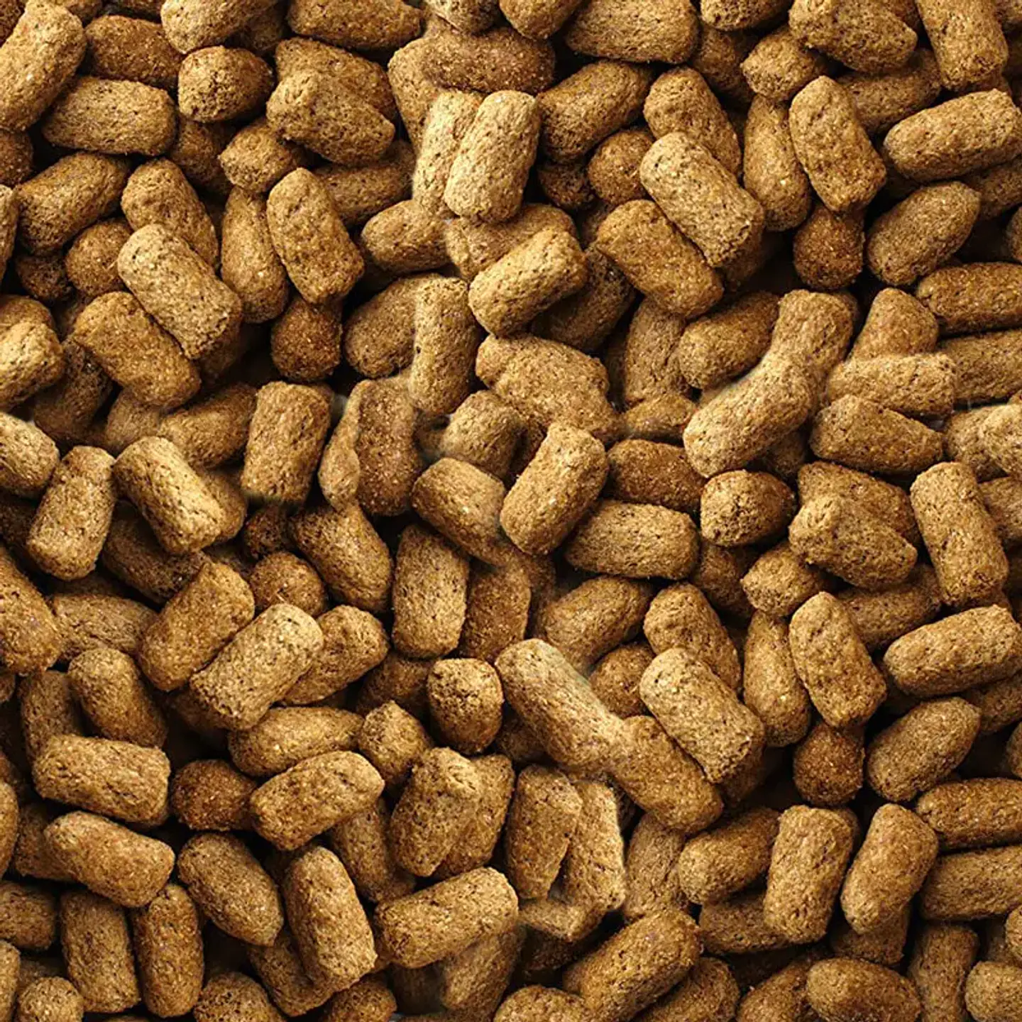Mazuri Alimento Tortoise Ls Para Tortugas De Tierra 340gr 4