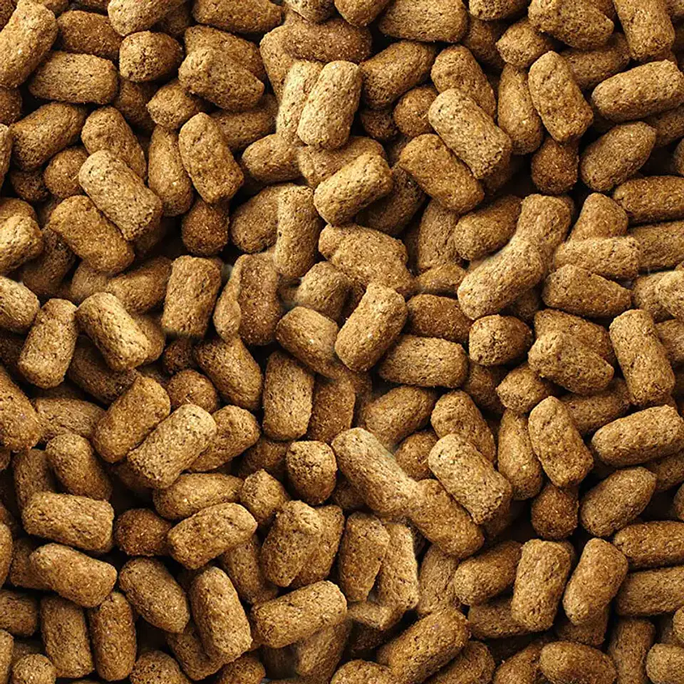 Mazuri Alimento Tortoise Ls Para Tortugas De Tierra 340gr 4