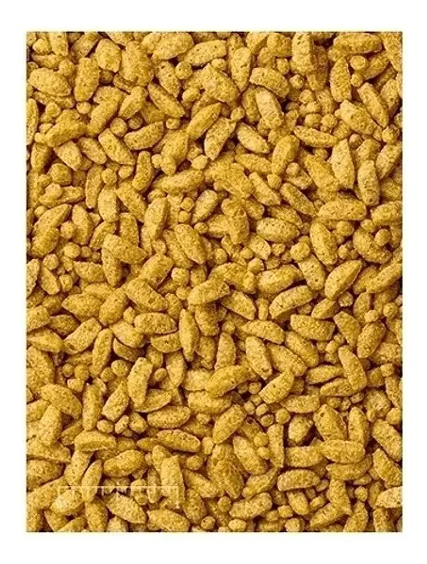 Mazuri Alimento Pequeñas Aves-1.13 Kg 4