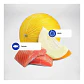 N&d OCEAN GATO ADULTO CASTRADO SALMON SACO 1,5KG - Miniatura 3