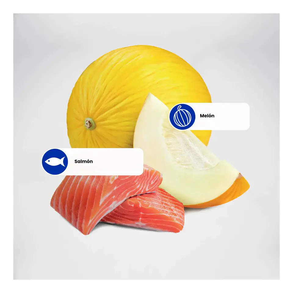 N&d OCEAN GATO ADULTO CASTRADO SALMON SACO 1,5KG 3