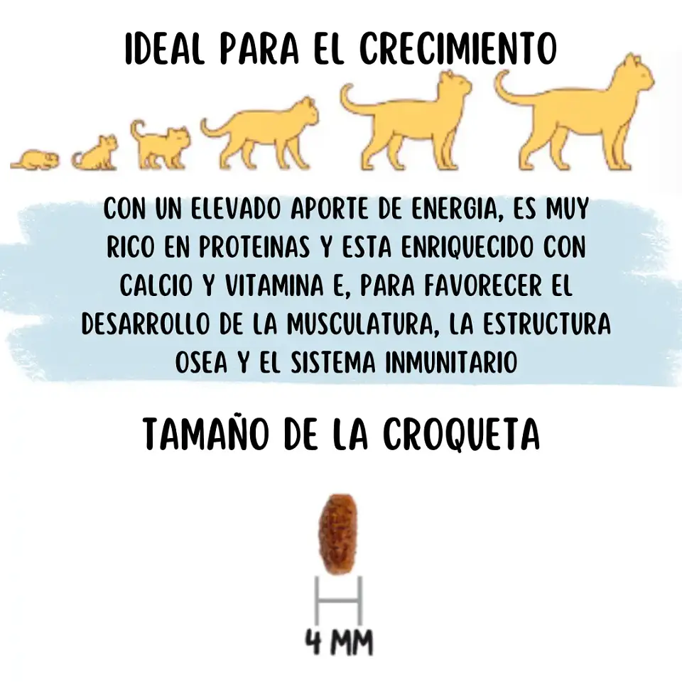 Ownat Kitten - Gatitos 1 A 12 Meses - 4 Kg 5