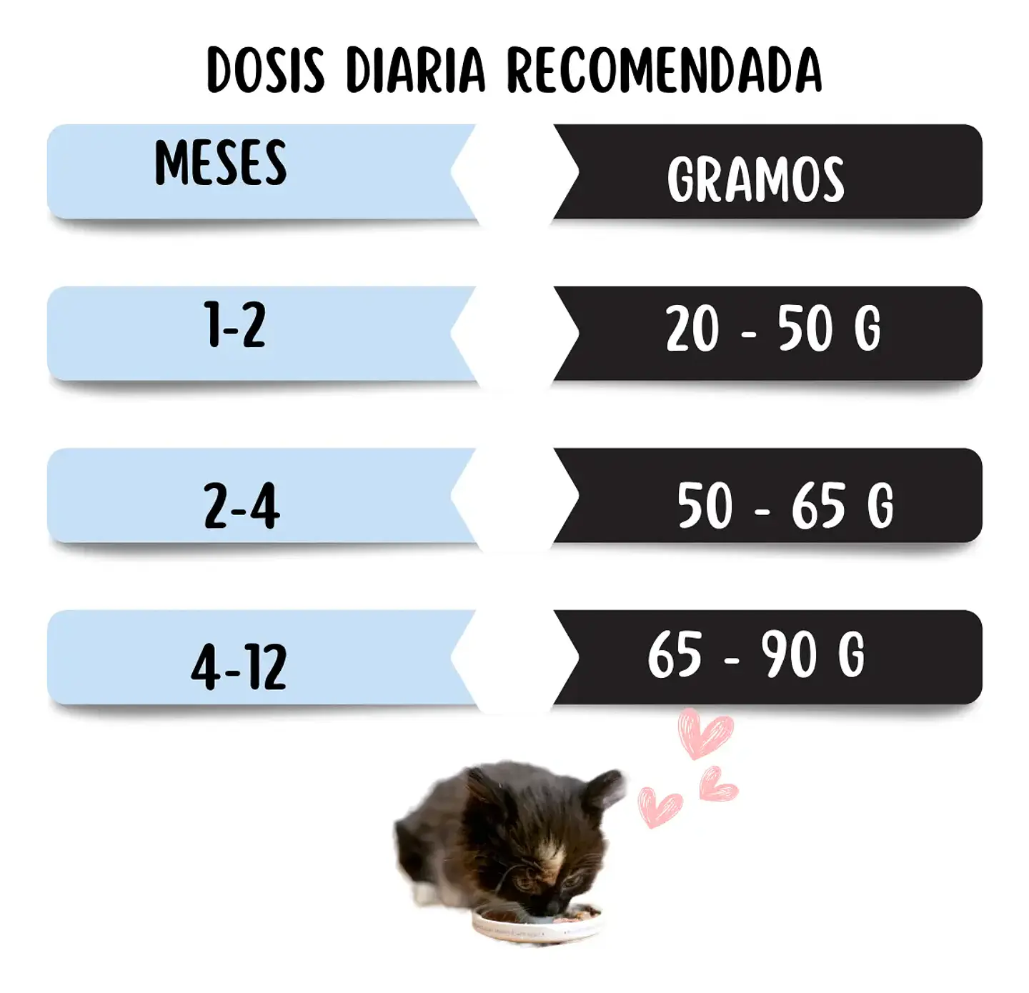 Ownat Kitten - Gatitos 1 A 12 Meses - 4 Kg 6