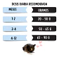 Ownat Kitten - Gatitos 1 A 12 Meses - 4 Kg - Miniatura 6