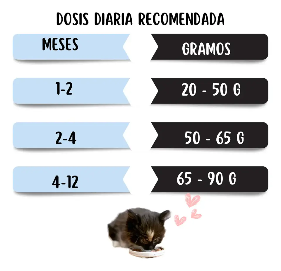 Ownat Kitten - Gatitos 1 A 12 Meses - 4 Kg 6