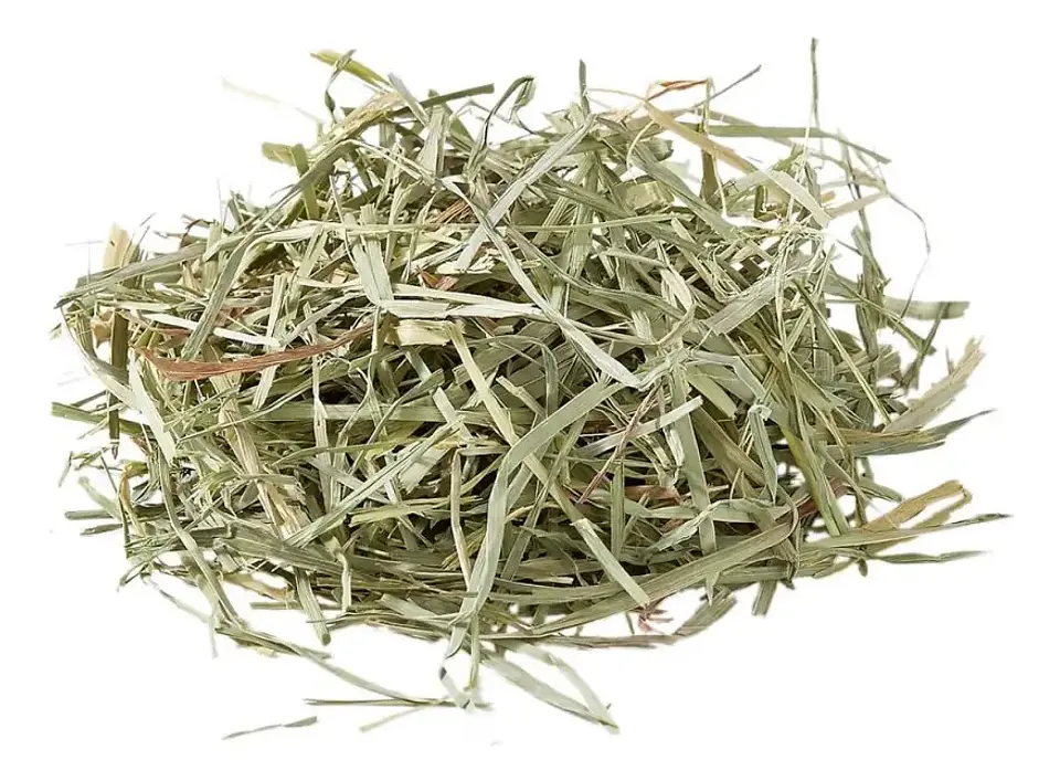 Oxbow Heno Orchard 1 Kg Para Conejos Chinchillas Cobayos Alto Fibra 1