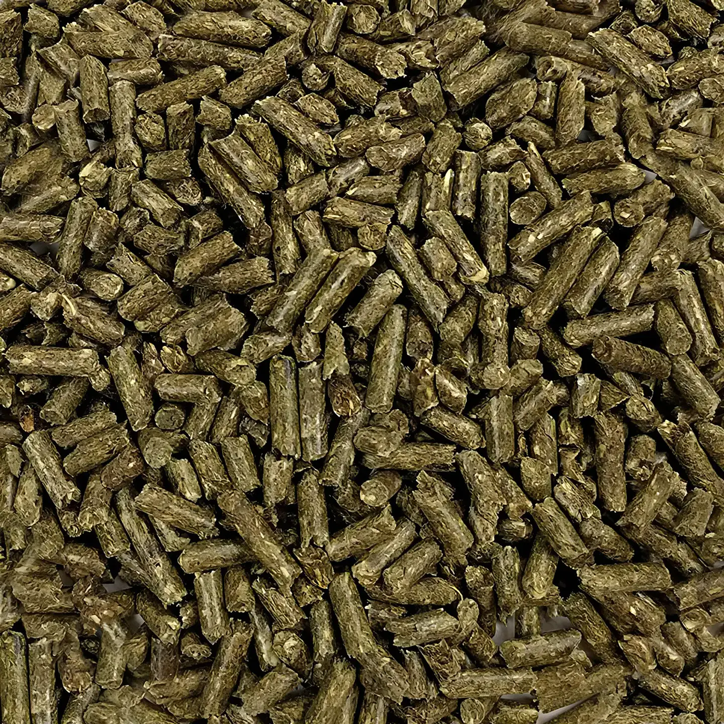 Oxbow Alimento Cuy-cobayo (guinea Pig)-2,5 Kg 3