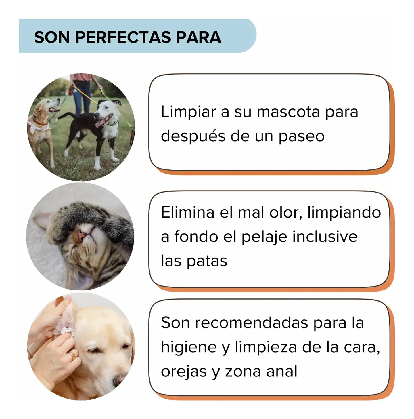 Salviette Toallitas Húmedas Perro Y/o Gato-clorexidina Y Mirra-40 Uds 4