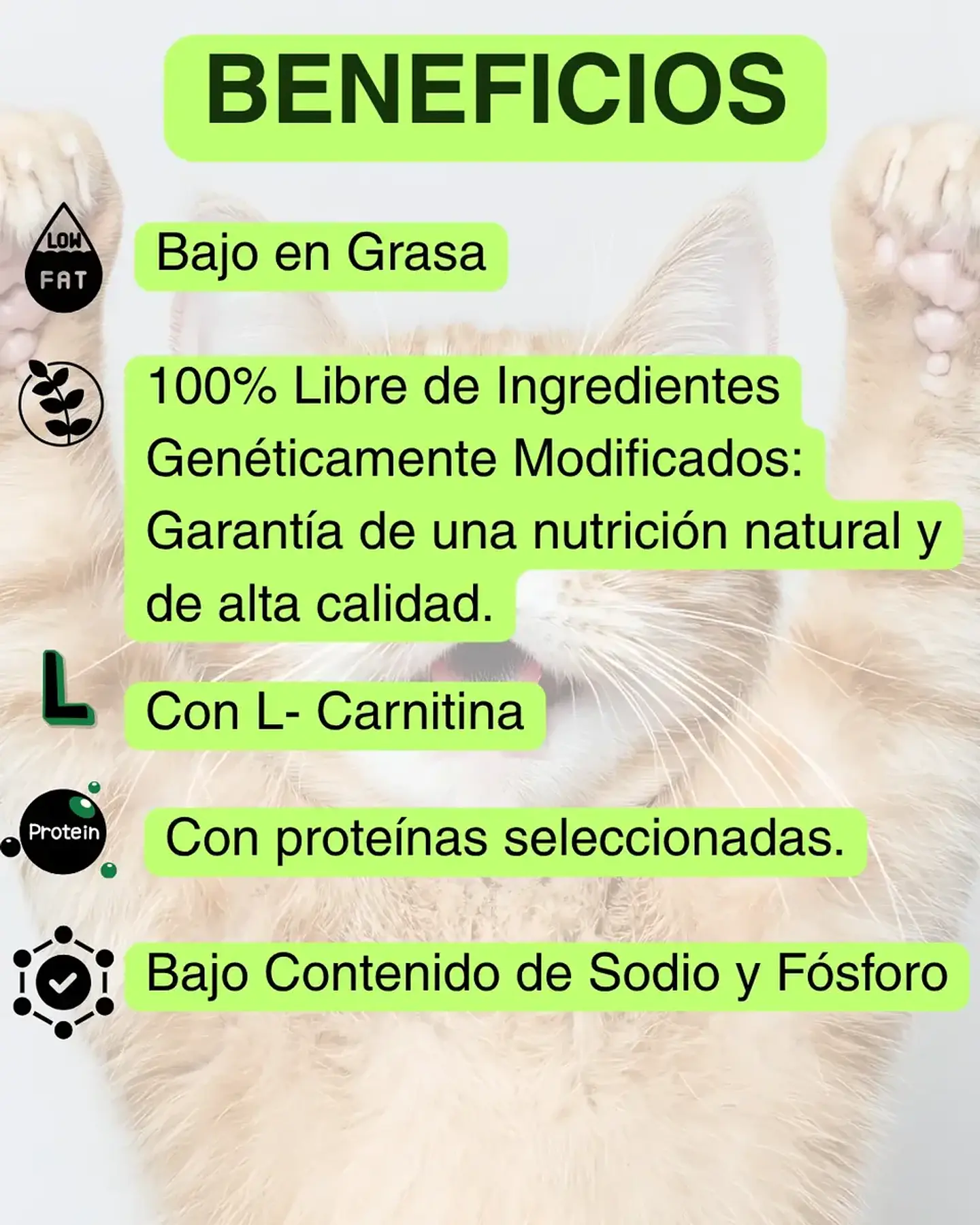 Vet Life Pack 3 Latas Vetlife - Gastrointestinal- Gatos - 255 Gr. 3