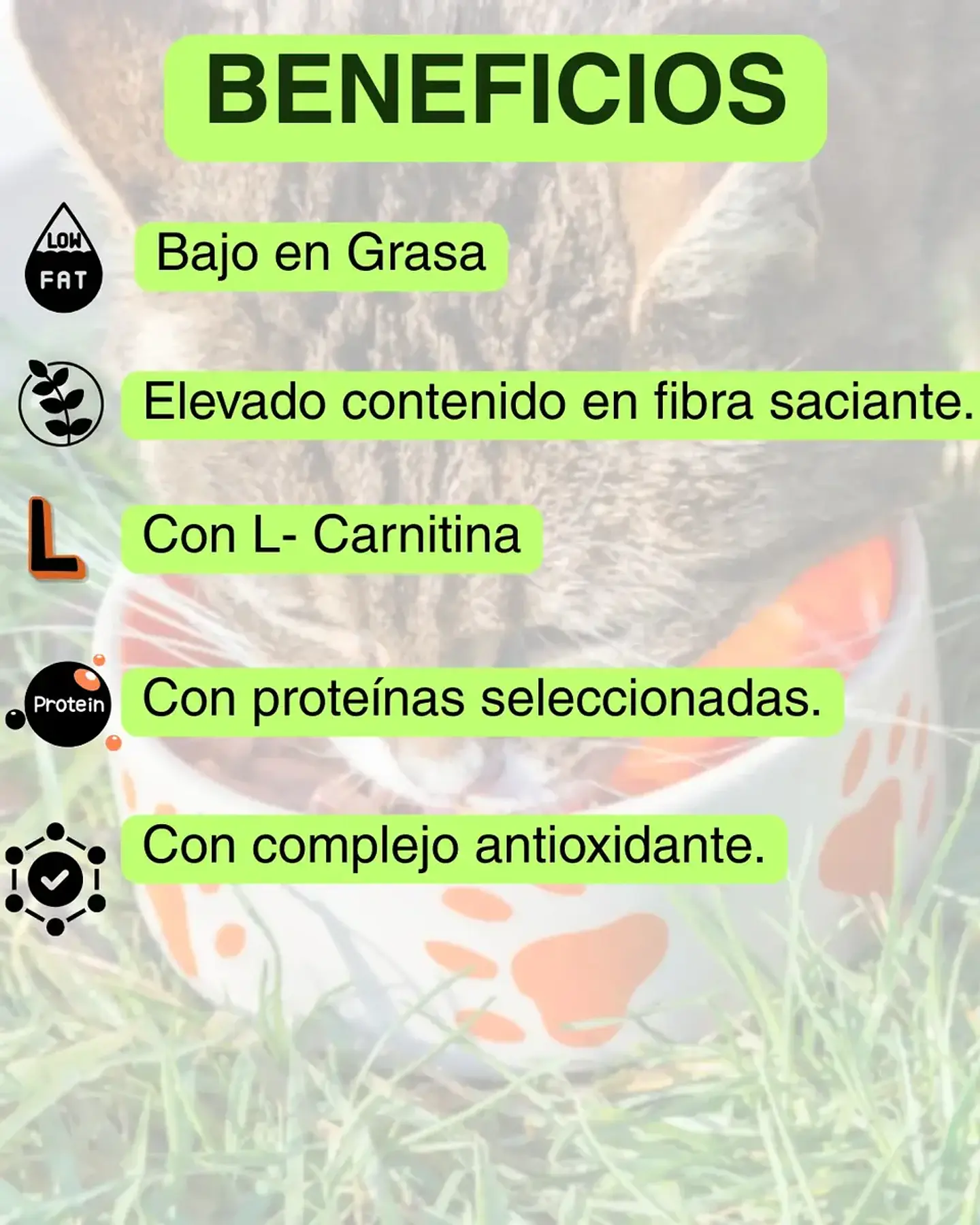 Vet Life Alimento Gatos Obesos Obesity 2kg. Np 3