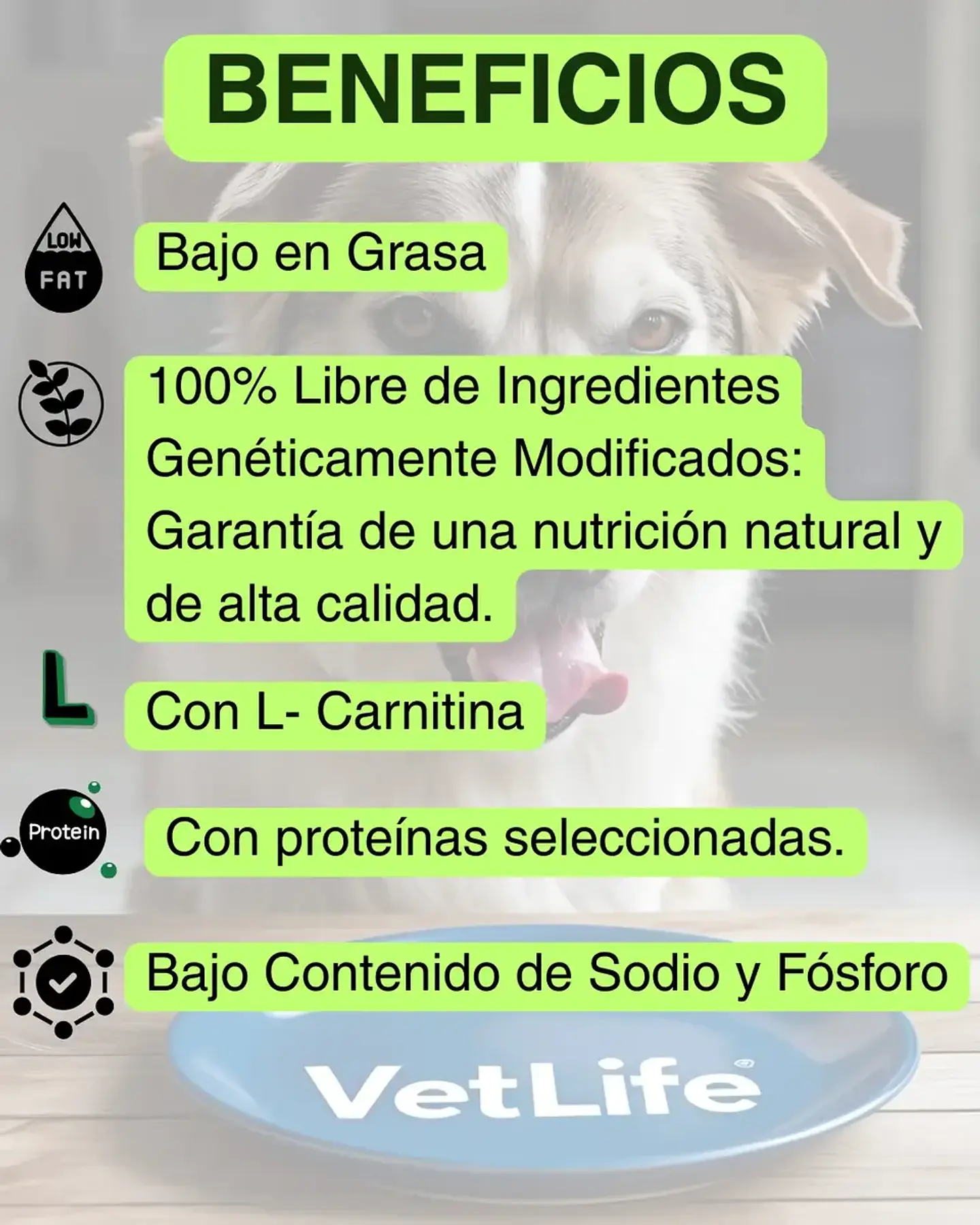Vet Life Pack 3 Latas Vetlife - Renal Para Perros - Total 900 Gr. 3