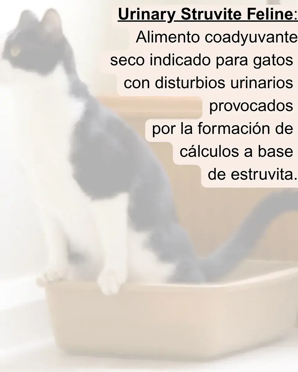 Vet Life Urinary Struvite Gato 2kg 2