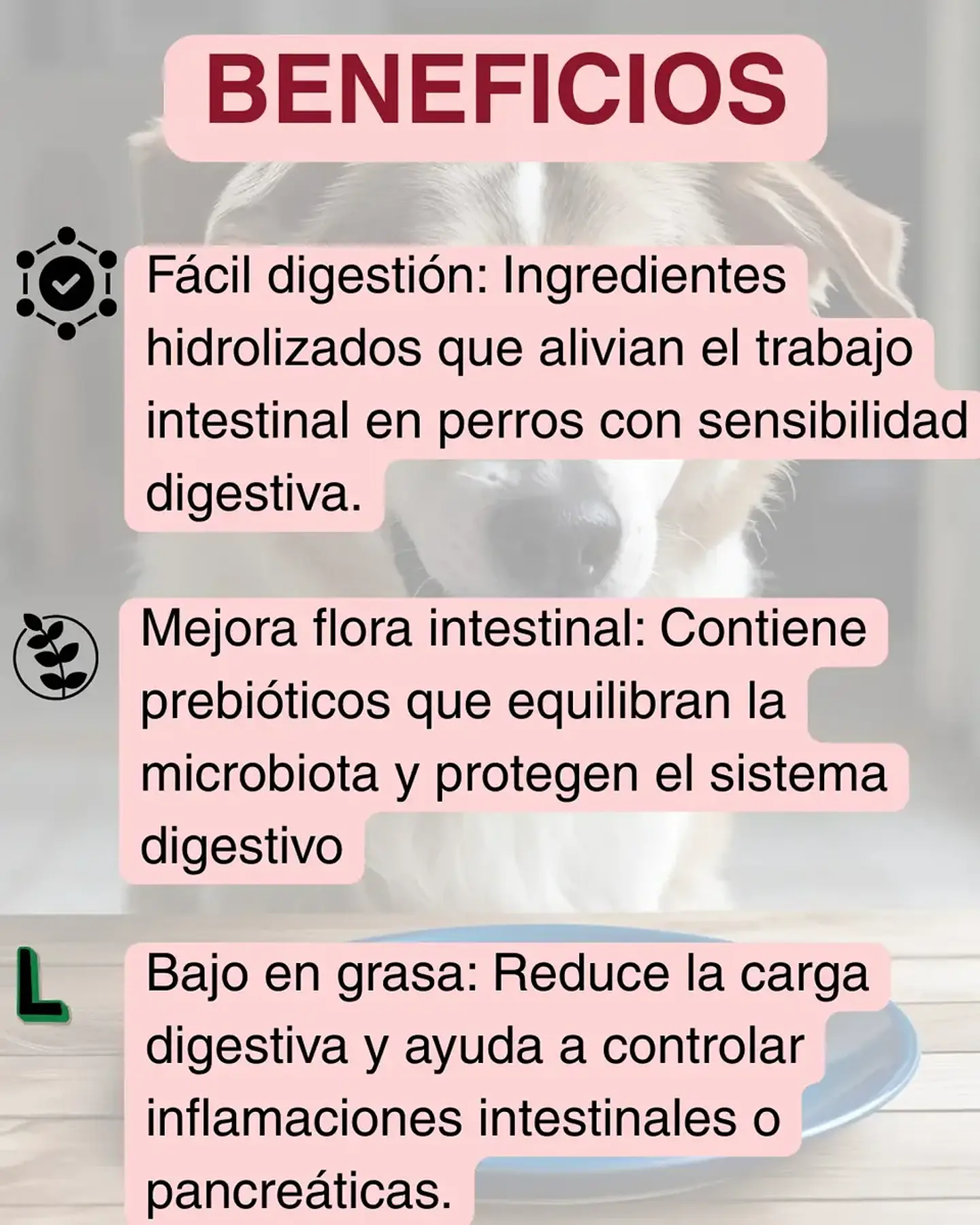 Vet Life Pack 3 Latas Vetlife - Gastrointestinal- Perros - 900 Gr. 3