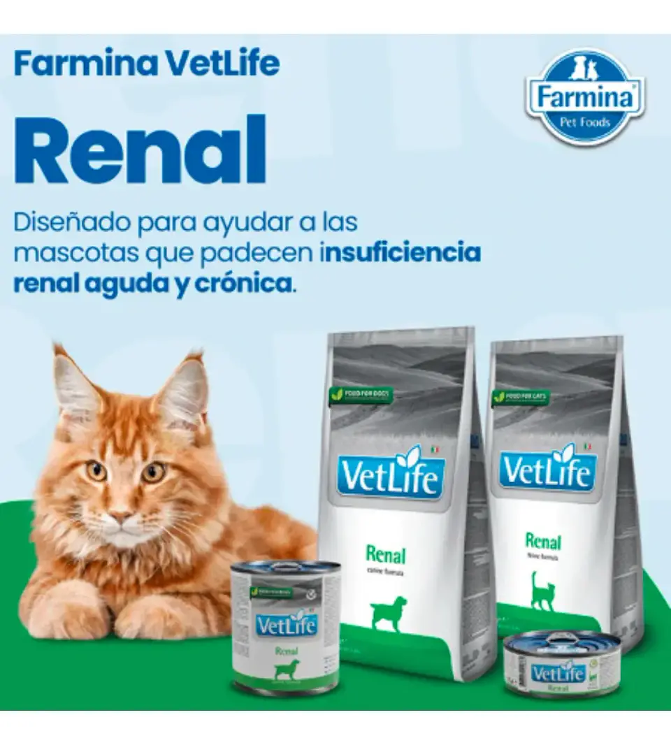 Vet Life Pack 3 Latas Vetlife - Gastrointestinal- Gatos - 255 Gr. 5