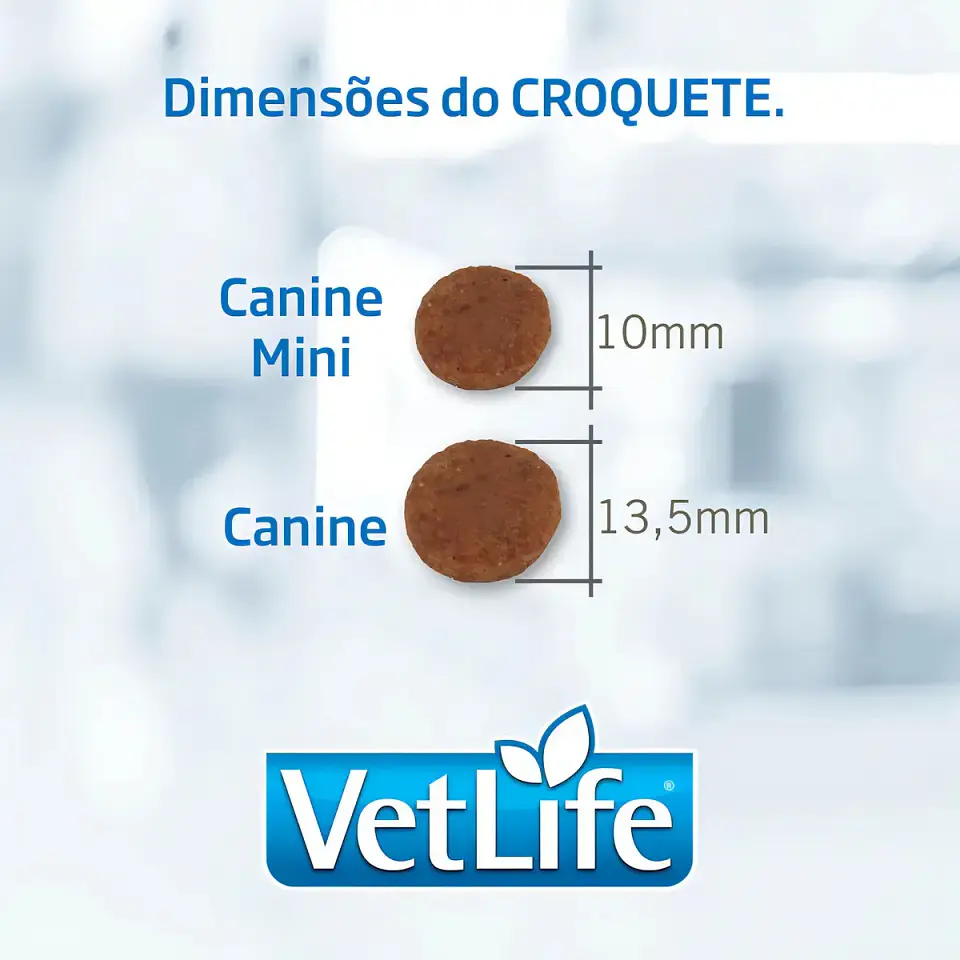 Vet Life VETLIFE HEPATICO PERRO SACO 10,1KG 3