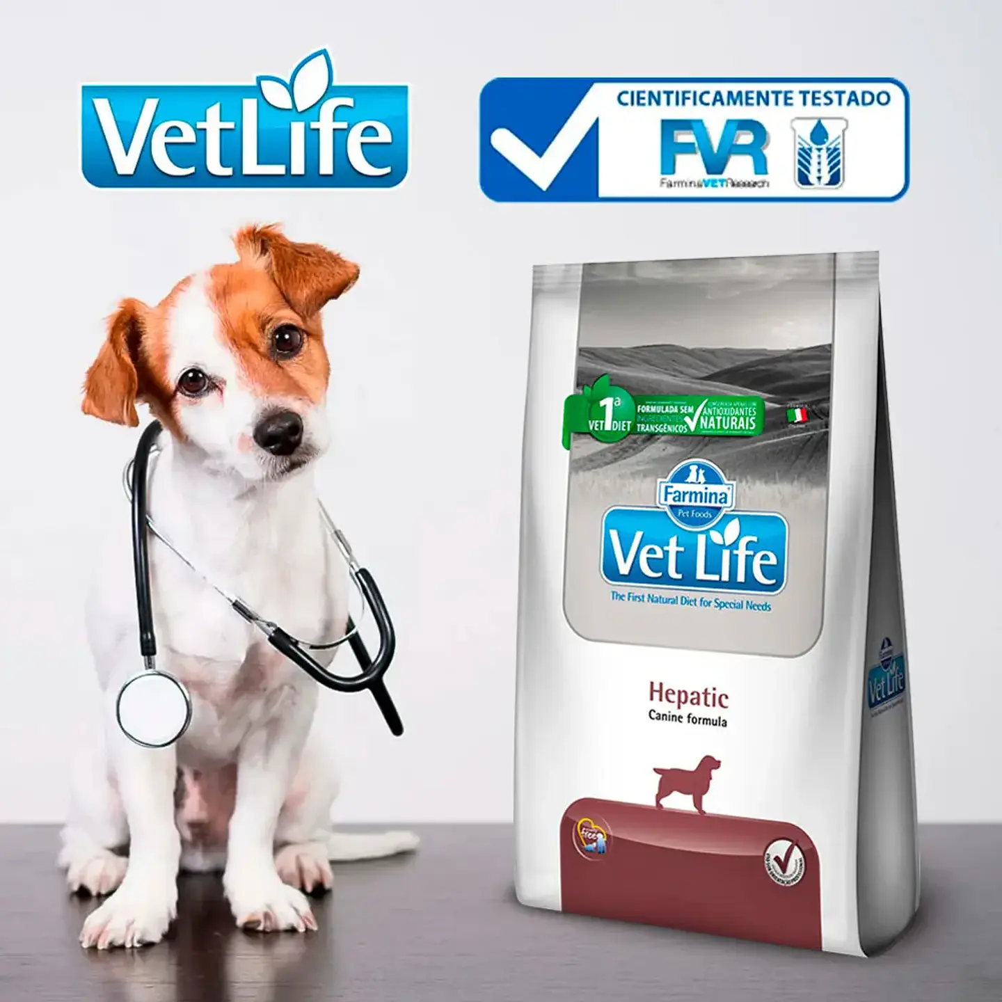 Vet Life Canino Hepatico 2 Kg 4