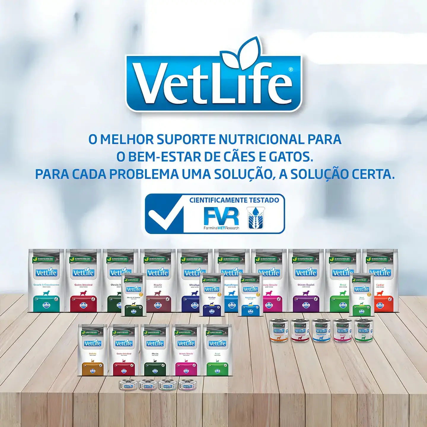 Vet Life VETLIFE HEPATICO PERRO SACO 10,1KG 4