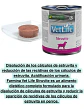 Vet Life 3 Latas Struvite Perro 300 Gr C/u - Total 900 Gr - Miniatura 2