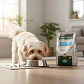 Vet Life Perro Mini Breeds-obesity & Diabetics-2 Kg - Miniatura 3