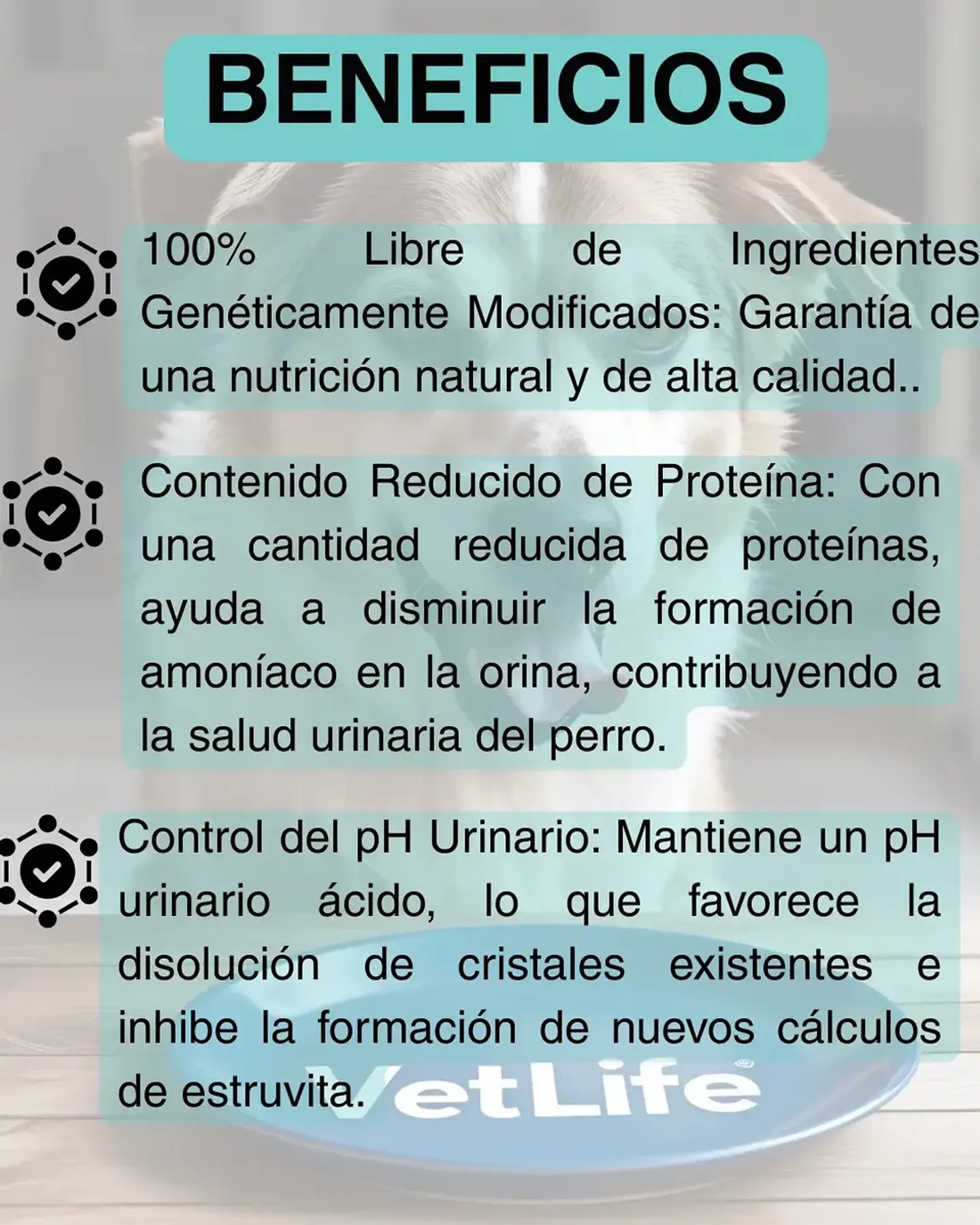 Vet Life 3 Latas Struvite Perro 300 Gr C/u - Total 900 Gr 3