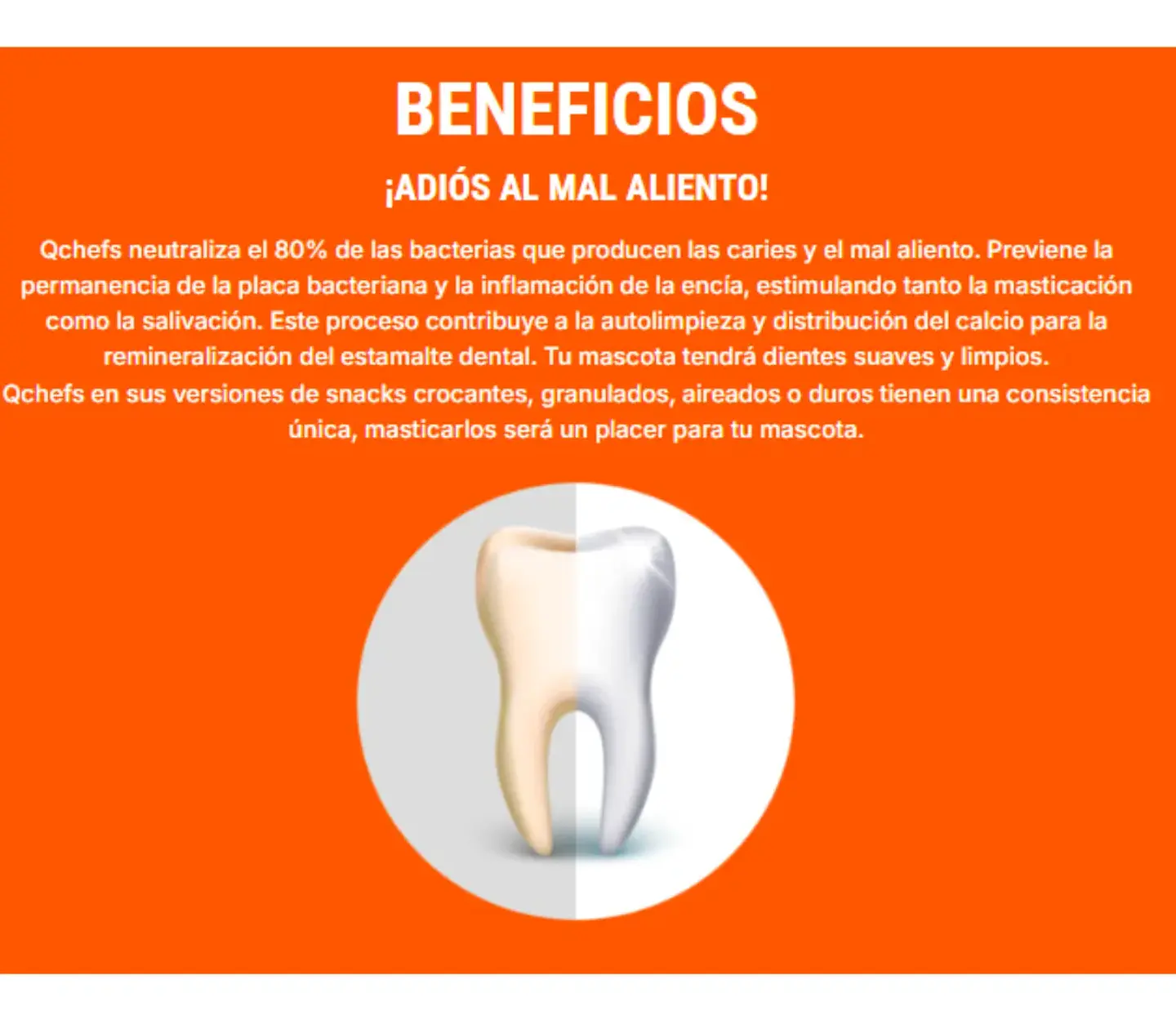 Zupet Tratamiento Dental Perro- Biocarbon-qchefs-80 Gr 3