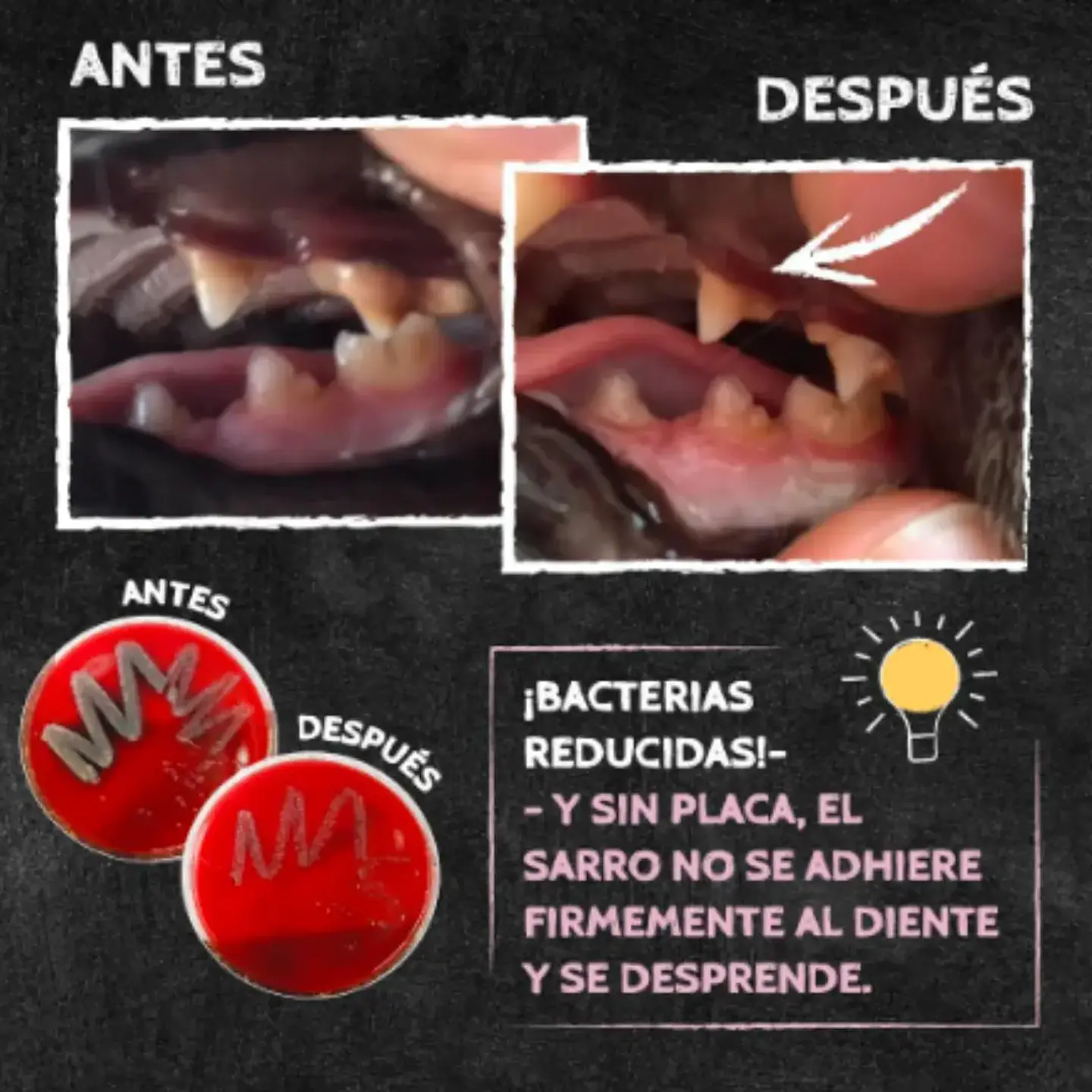 Zupet Snack Dental Crocante Q-chefs Mmini Para Gato 60g 6
