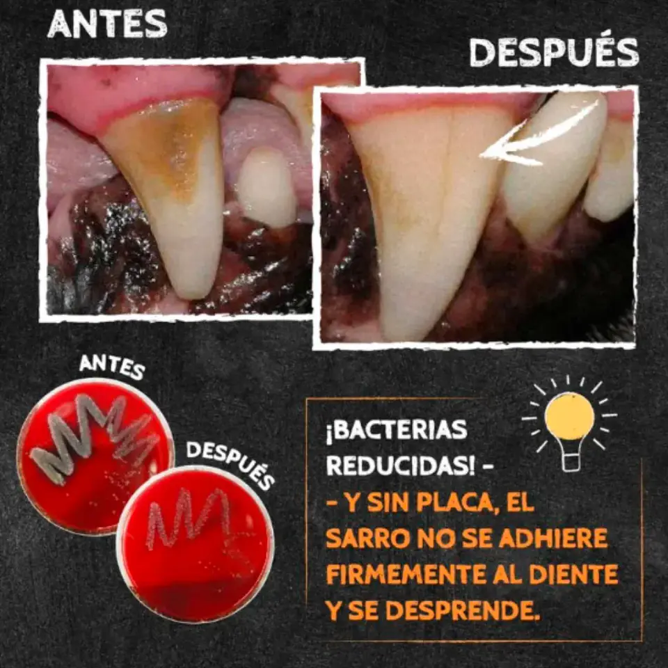 Zupet Qchefs-snack Dental Aliento Perro-crocante-mmini-72 Gr. 5