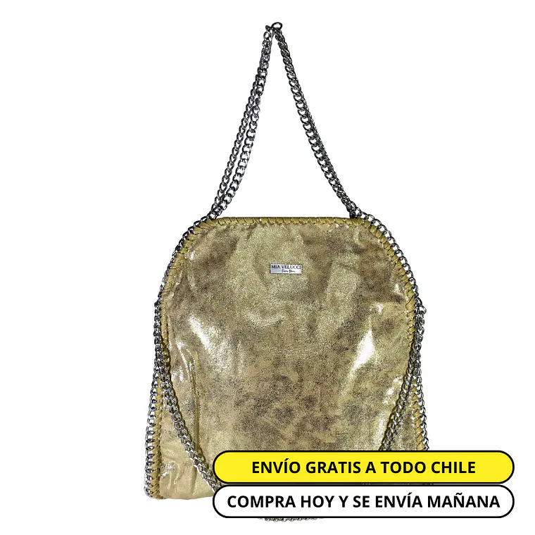 Cartera Venezia Dorado 1