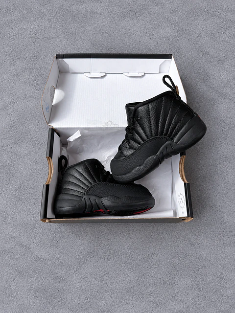 Jordan retro 12 