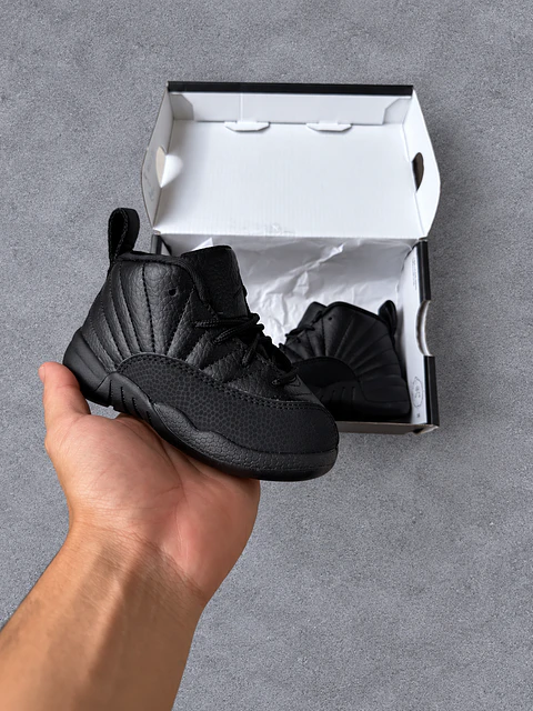 Jordan retro 12 