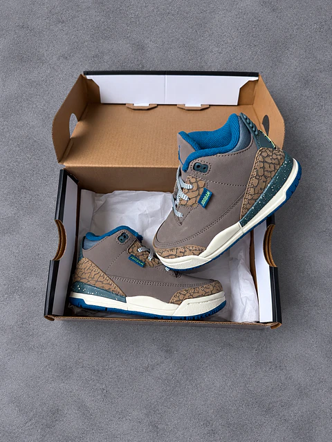 Jordan retro 3
