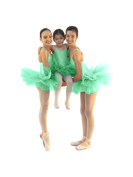 STELLA | Tutu clássico | Envio em 48h!