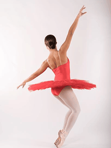 FOUETTÉ | Tutu prato (Ref.ª TUT122) | BLACK FRIDAY