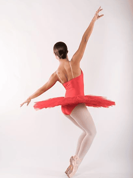 FOUETTÉ | Tutu prato (Ref.ª TUT122) | BLACK FRIDAY