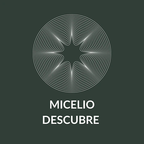 Micelio Descubre 