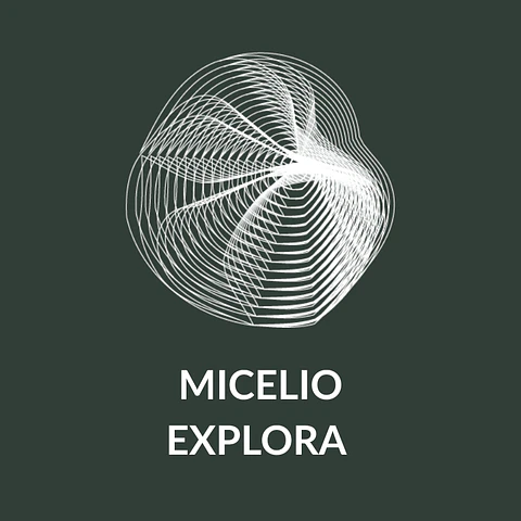 Micelio Explorador