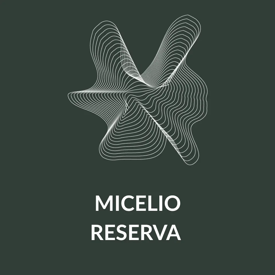 Micelio Reserva 1