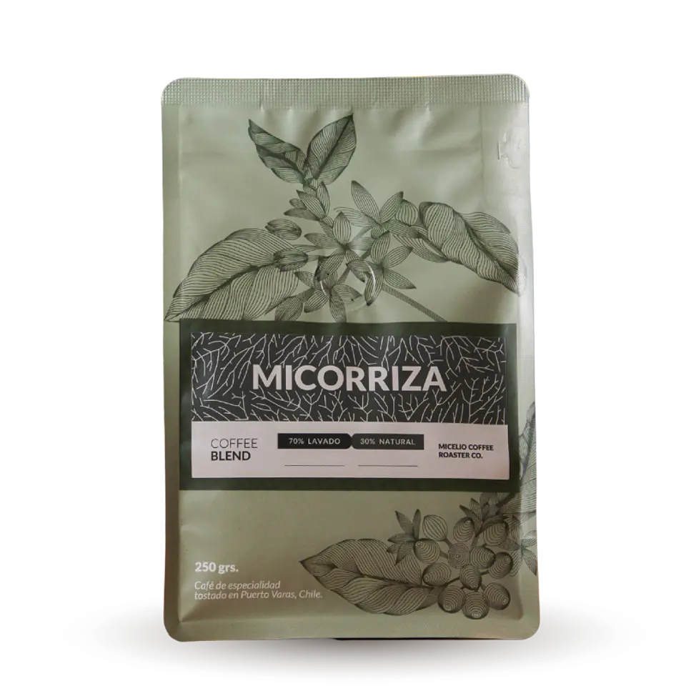 Micorriza  2
