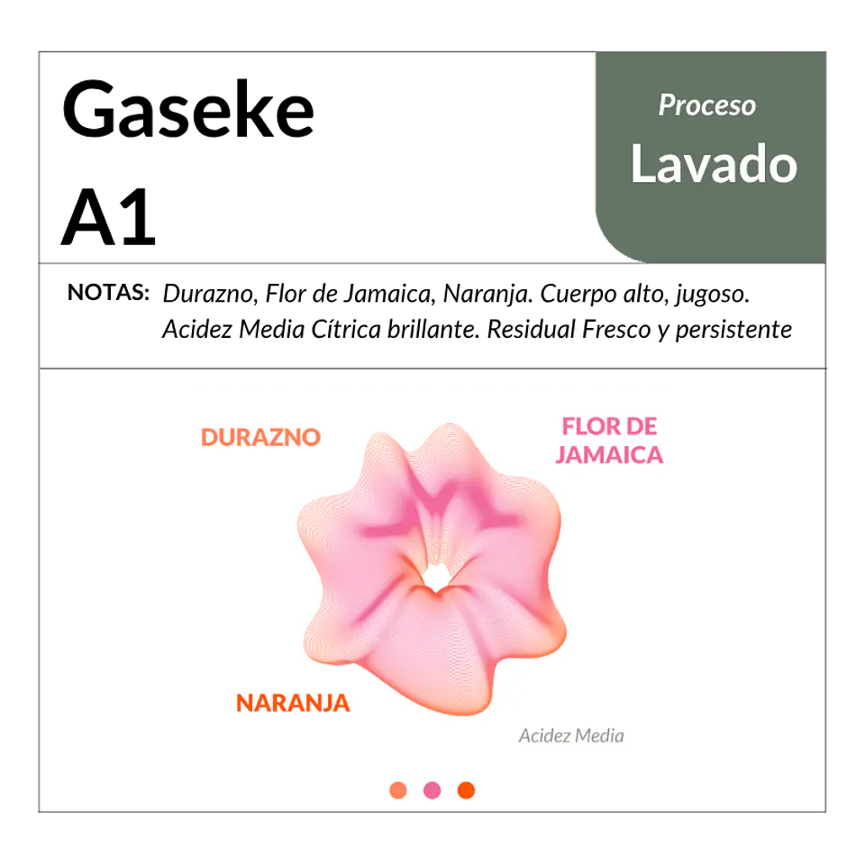 Chiroso 2