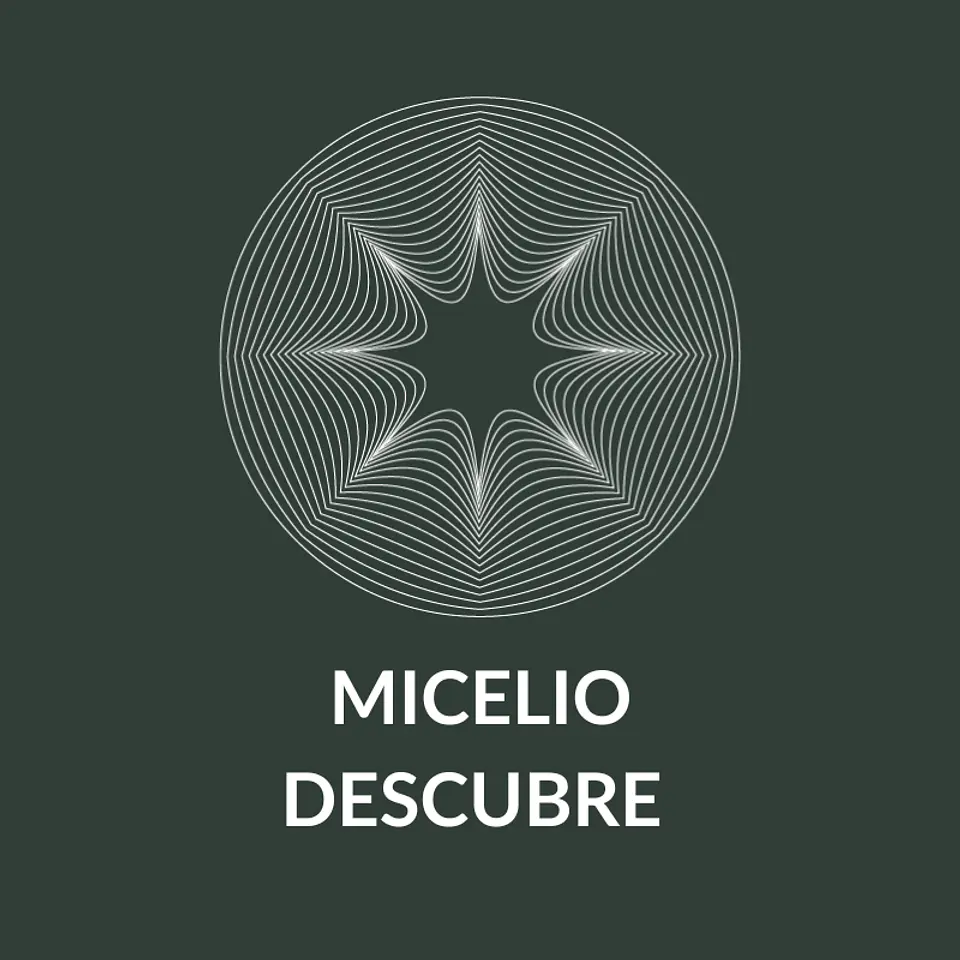 Micelio Descubre  1