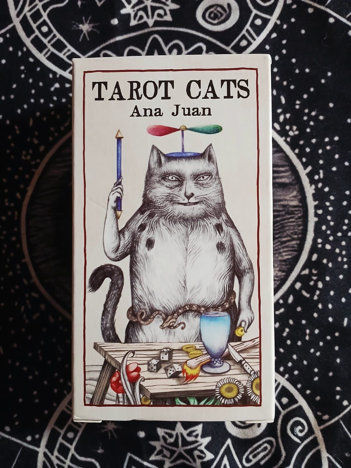 Cats Tarot Ana Juan 1