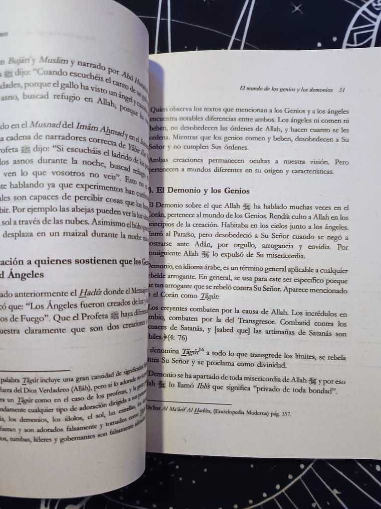 El Mundo De Los Genios Y Los Demonios 3